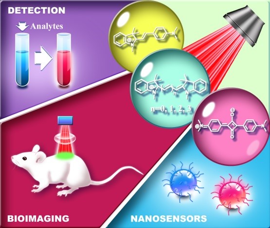基于菁染料平臺熒光探針的最新進展-精細(xì)化工重點實驗室